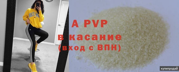 мдпв Великий Новгород