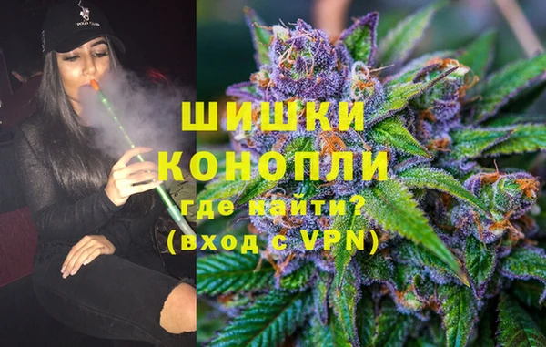 индика Лагань