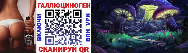 дарнет шоп Черняховск ОМГ ОМГ как зайти Галлюциногенные грибы Cubensis