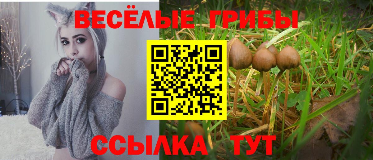 Черняховск  Галлюциногенные грибы GOLDEN TEACHER  Вход с VPN 