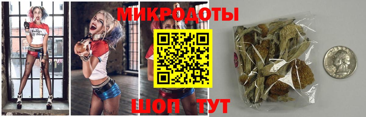 Галлюциногенные грибы Magic Shrooms  Черняховск 